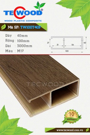 Thanh lam gỗ nhựa ASA TW100T40F màu M17 