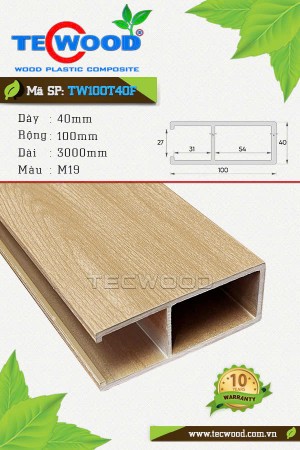  Thanh lam gỗ nhựa ASA TW100T40F màu M19 