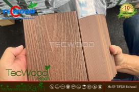 Sàn gỗ ngoài trời phủ Asa chính hãng giá tốt - TecWood