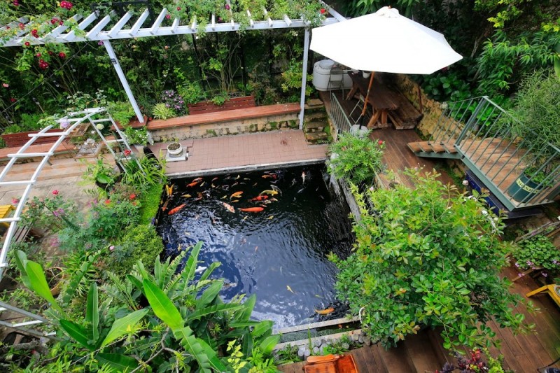 mẫu sân vườn trước nhà đẹp
