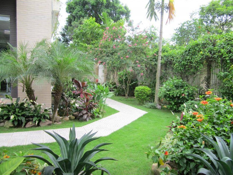 mẫu sân vườn trước nhà đẹp